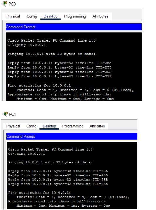 Connectivity check using ping